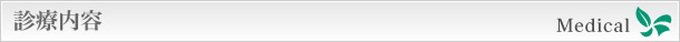 診療内容